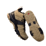 pair-brown-salomon-shoe